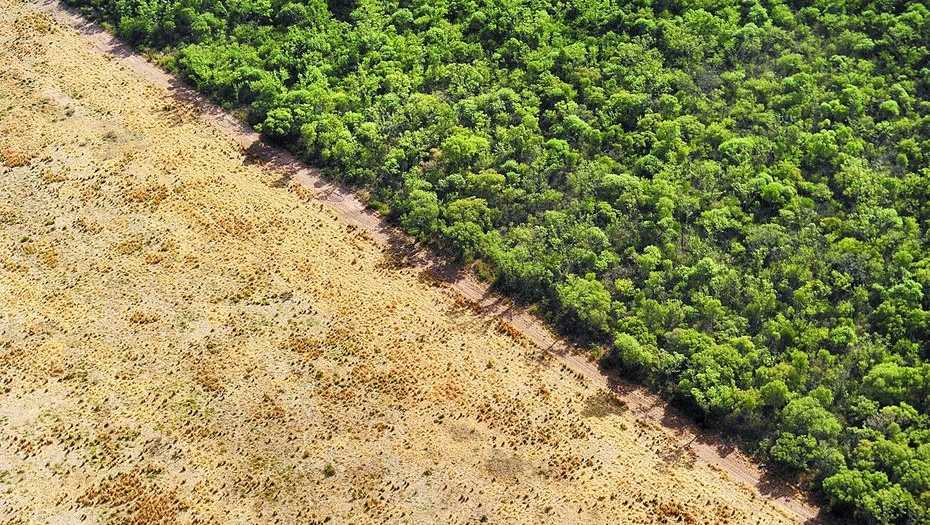 Conservación y política ambiental argentina